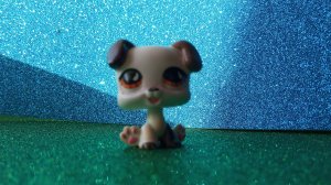 опенинг lps сериала жизнь Toma Dawsona