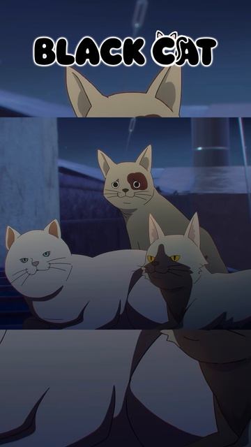 Кошачье безумие. #аниме #манхва #животные #перерождение #романтика