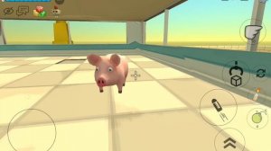 свинка отвечай сколько будет 2+2=?