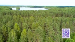 Особый противопожарный режим начал действовать в Вологодской области