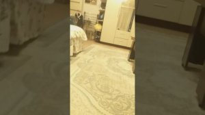 обзор ноутбука с 2009 года HP G62 [windows 7 и он был уничтожен и я его исправил. ]