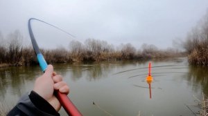 РЫБАЛКА НА ПОПЛАВОК! КАБАНЫ ГНУТ УДОЧКИ! Снасти здрасьте!