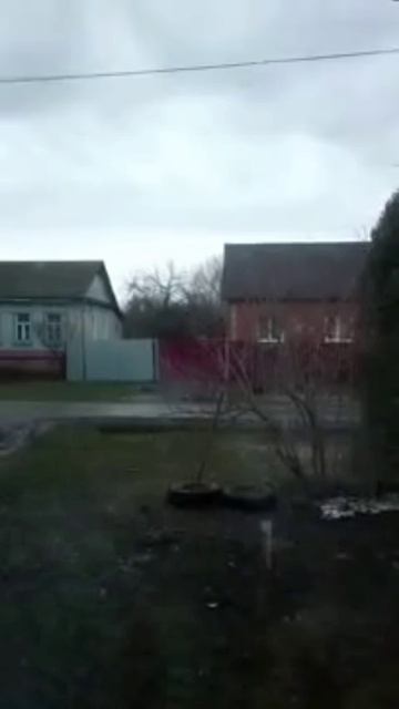 Троицкая быдлятина