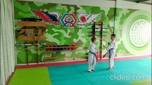 Botezatu Ilia International Personal Video Card  - 5 kyu