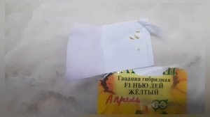 Сажаем цветы рассадой.mp4