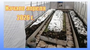 Ущерб и потери после снежной зимы. Внимательно обошла огород.