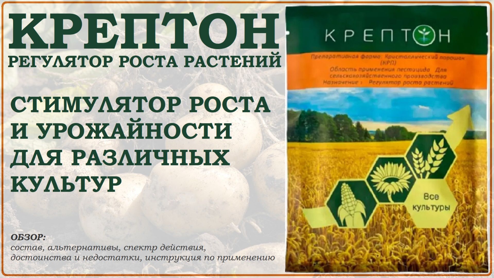 Крептон – стимулятор роста и урожайности различных культур. Обзор регулятора роста растений