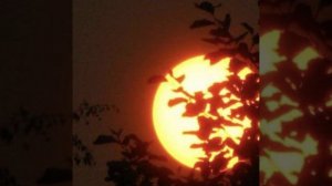 Тохиров Джасур, Шушарин Даниил. "Летний вечер"