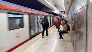 Роща Марьина 7 апреля 2026