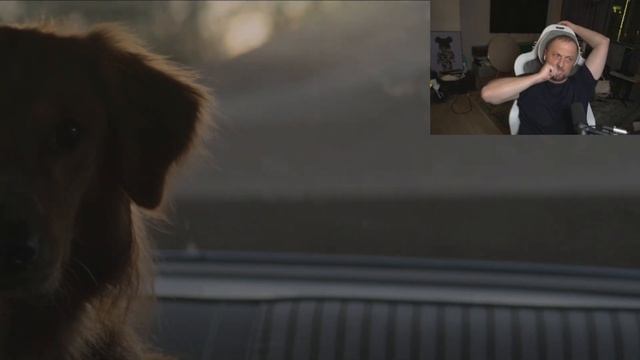 ЗУБАРЕВ СМОТРИТ  СОБАЧЬЯ ЖИЗНЬ