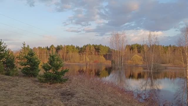 Весна, весна ...