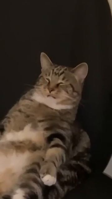 Рабочее состояние в понедельник 🥶Хорошего дня, друзья 💻