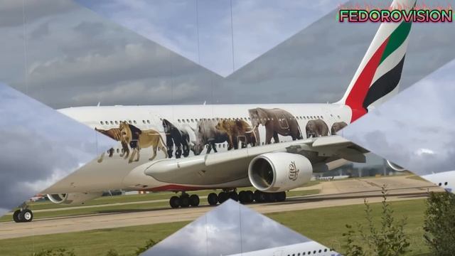 Как же так получилось что самолет летел из Индии в США а сел в Красноярске Всколыхнулся весь мир!