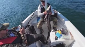 Думали ПАЛТУС, а это ЕЩЕ КРУЧЕ!!! Ловля морского угря