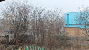 Ранняя весна 2026