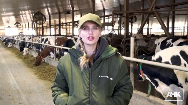 Соевый шрот АНК