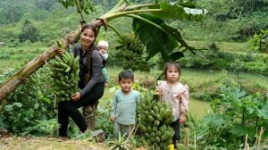 Собираю бананы для продажи на рынке, готовлю гигантскую рыбу для детей. Дуонг