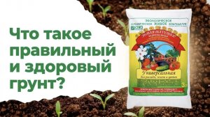 Грунт для томатов. Готовим правильно с экспертом Еленой Храмушиной