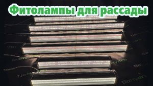 Фитолампы для рассады с наглядной эффективностью