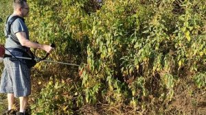 SG230 Стриж Lite косим высокую волокнистую траву