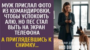 Истории из жизни: Муж прислал фото из командировки, чтобы успокоить Алю, но пес стал выть на экран…