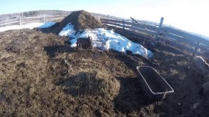 Кто куда, а мы с Лилианкой в деревню!