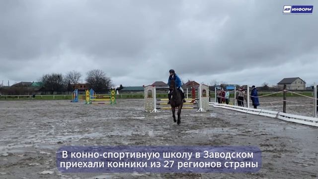 Соревнования по конкуру