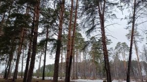 Апрельские звуки природы.