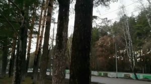 Солнце вечером пробивается