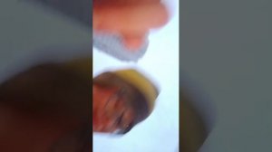 кто последний покинет крышу. палатки