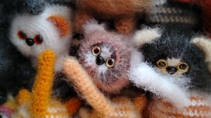 Очень много котиков 💓. Новые игрушки 💓. Подарки 💓