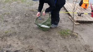 VID_20260406_105543_949