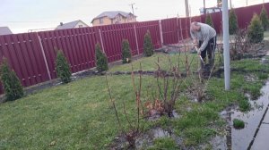 ВОДА ПОДОШЛА К ДОМУ/СРОЧНО КОПАЕМ КАНАВУ/СОСТОЯНИЕ ПОСЛЕ ОПЕРАЦИИ