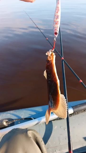 Пилькеры №1 и №2 от Mr.Musurok в деле 🎣