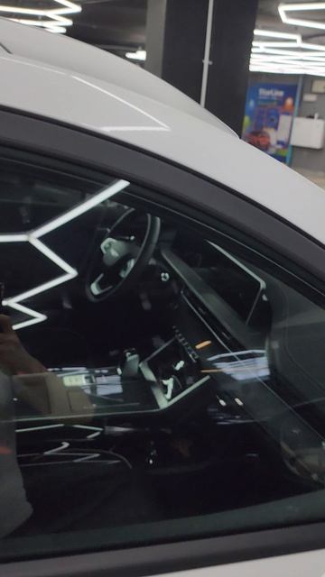 Tenet T4 - бронирование кузова и тонировка стекол