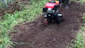 3g1200 Земляк_ Красная Звезда  на грядке в работе.