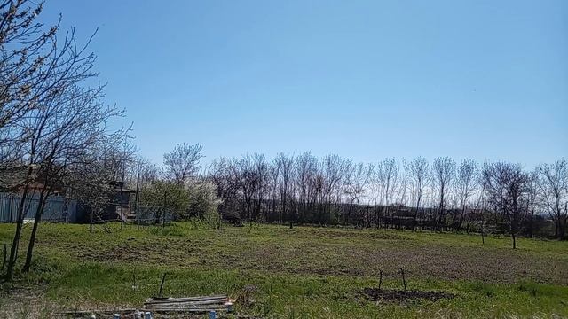 Прогулочка! Весна 🌱идёт... Весна идёт... Юг России 🌴