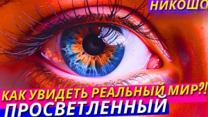 🎧 Шокирующий Рассказ Инсайдера: Как Выглядит Реальный Мир — аудиокнига от Никошо 🙏