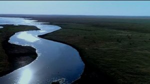 «Чехов в музыке: Степь. Широта русской души и тишина природы»