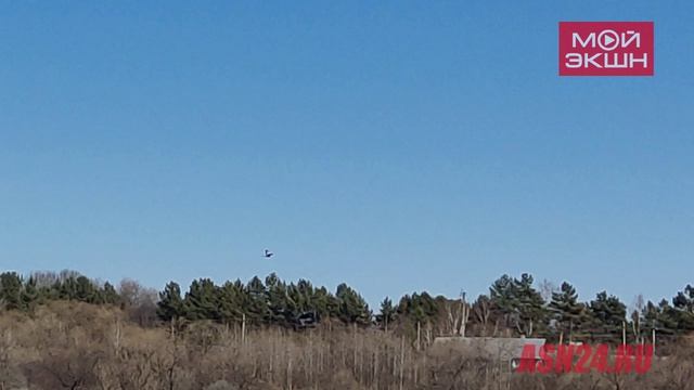 «Вот это да!»: в пригороде Благовещенска заметили большую пролетающую стаю аистов