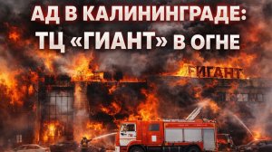 Крупнейший пожар в Калининграде: ТЦ «Гиант» охвачен огнем на площади 7 тысяч квадратных метров