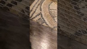 Дребезг рычага МКПП от 2500 об/мин Нива Тревел