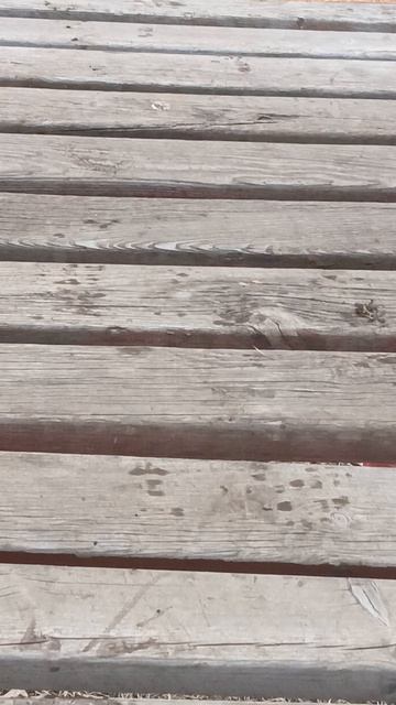 SCIFERuMy заразился от проклятого подъезда😭😭