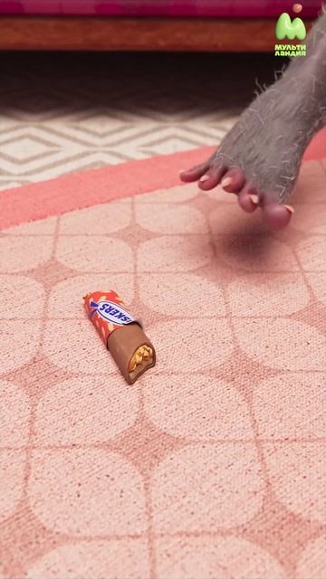 Feet Are The Hands Of The Legs