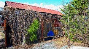 СНТ_50 лет победы (1080)