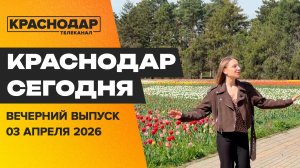 Экономический форум в Абхазии, ремонт коллектора, море тюльпанов. Новости 3 апреля