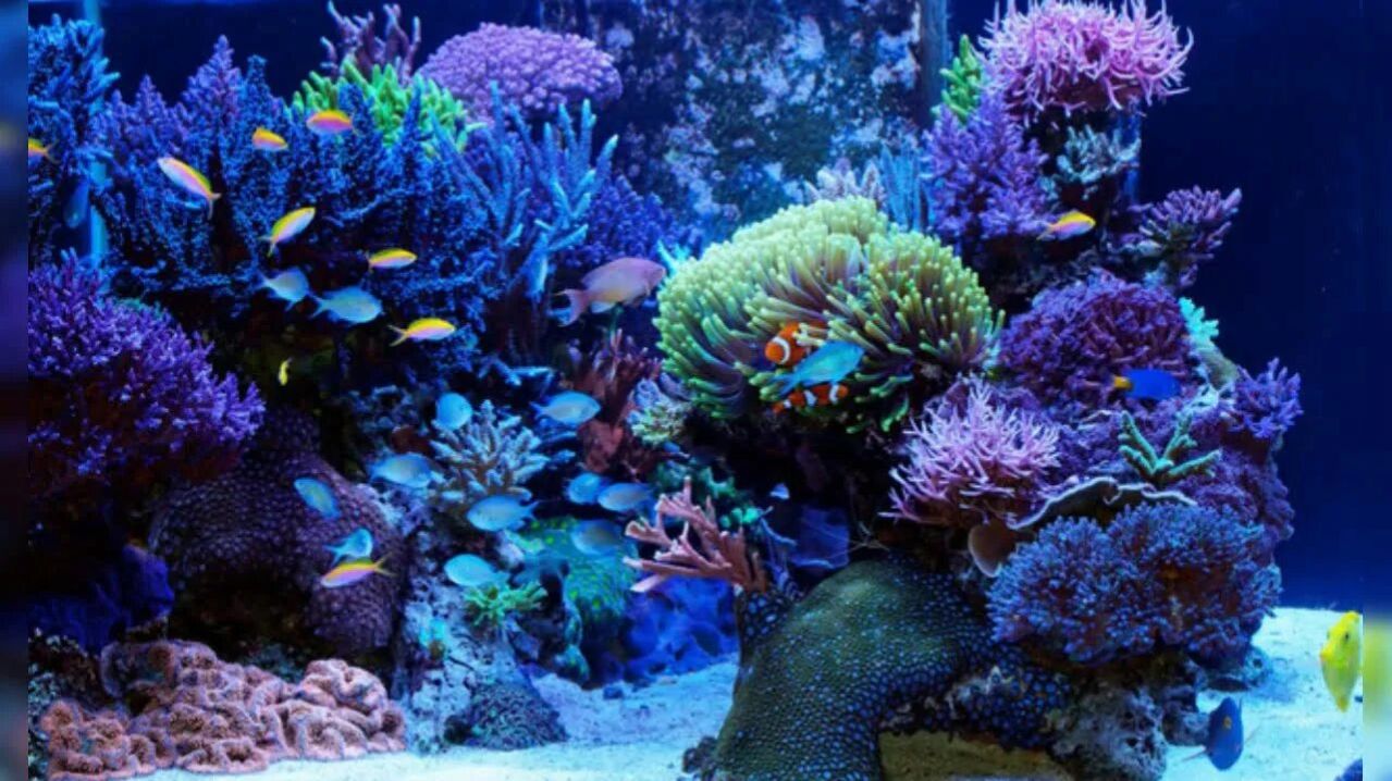 Красное море моими глазами!02.04.26