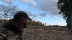 Охота на Вальдшнепа. Какое место лучше выбрать. Открытие охоты 2026 18+