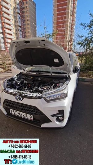 ПРИКУРИВАЕМ TOYOTA RAIZE HYBRID из под капота
