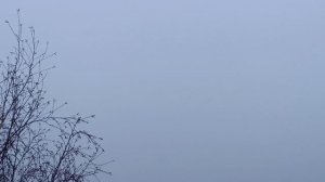 Опять туман